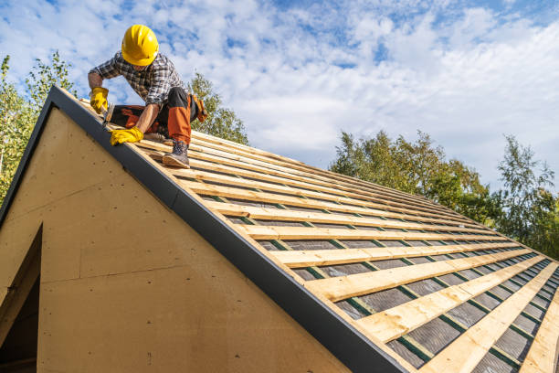 Best Gutter Installation and Roofing  in Westview, FL